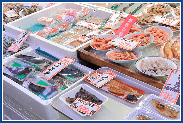 わくわくお魚ランド
