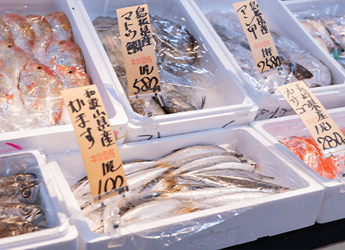 わくわくお魚ランド